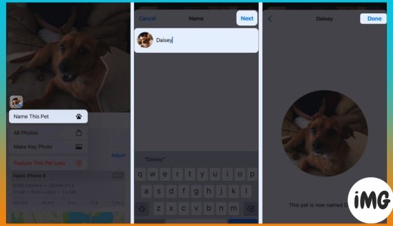 How to Tag Pets in the Photos App on iPhone, iPad, and Mac